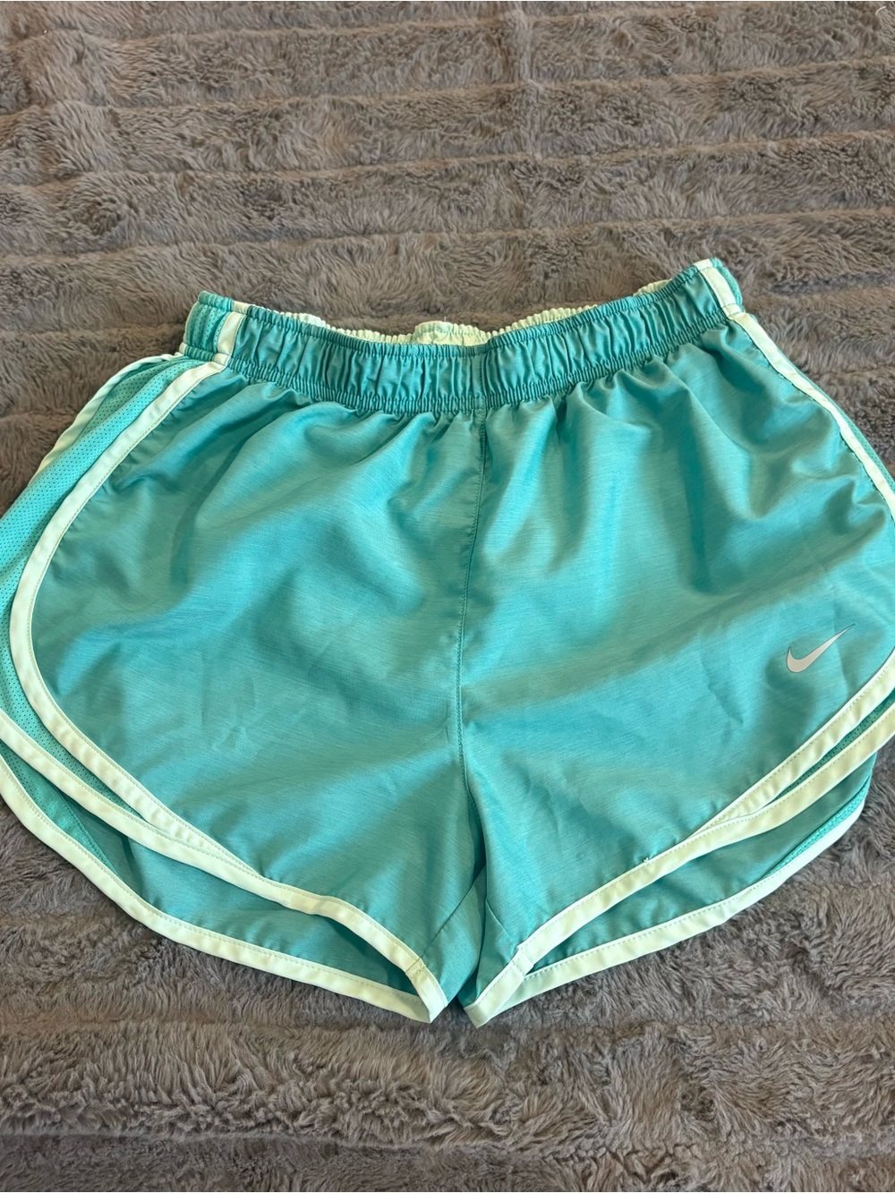 Nike Women's Aqua Running Shorts